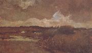 Vincent Van Gogh Marshy Landscape (nn04) USA oil painting artist